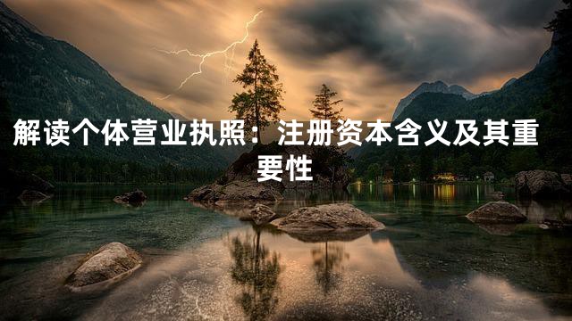 解读个体营业执照：注册资本含义及其重要性