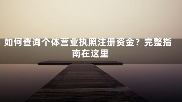 如何查询个体营业执照注册资金？完整指南在这里