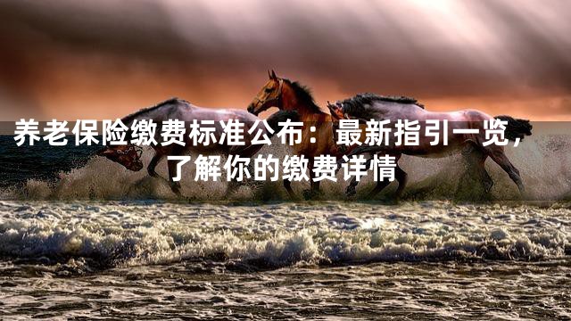 养老保险缴费标准公布：最新指引一览，了解你的缴费详情
