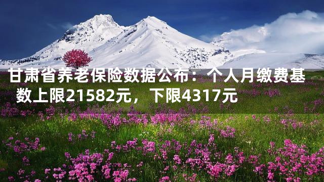 甘肃省养老保险数据公布：个人月缴费基数上限21582元，下限4317元