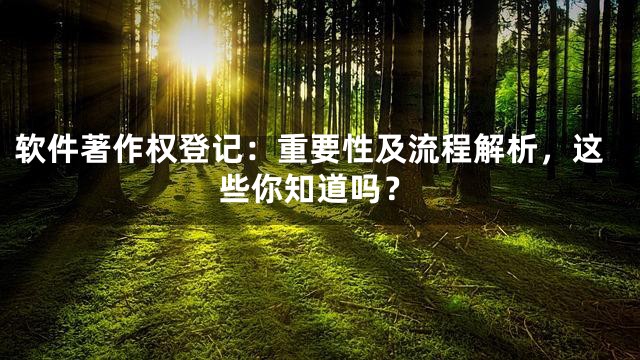 软件著作权登记：重要性及流程解析，这些你知道吗？
