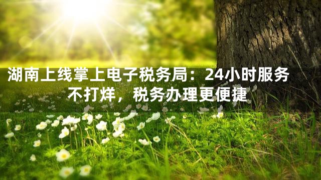 湖南上线掌上电子税务局：24小时服务不打烊，税务办理更便捷