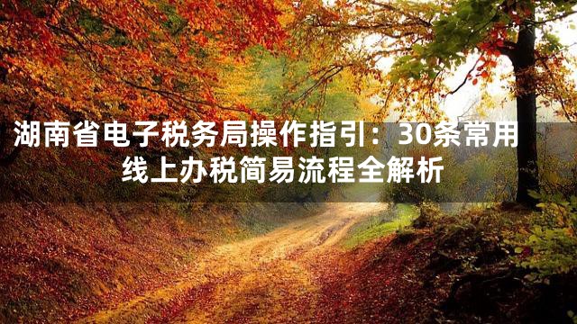 湖南省电子税务局操作指引：30条常用线上办税简易流程全解析