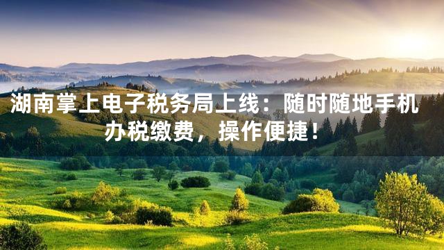 湖南掌上电子税务局上线：随时随地手机办税缴费，操作便捷！