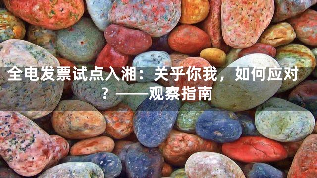 全电发票试点入湘：关乎你我，如何应对？——观察指南