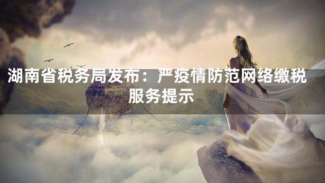 湖南省税务局发布：严疫情防范网络缴税服务提示