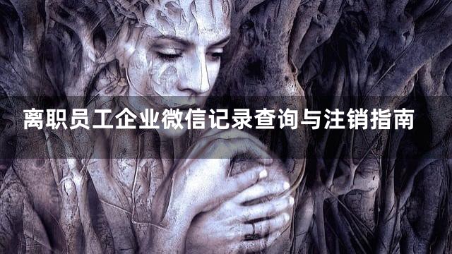 离职员工企业微信记录查询与注销指南