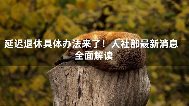 延迟退休具体办法来了！人社部最新消息全面解读