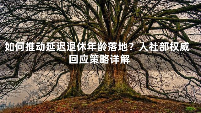 如何推动延迟退休年龄落地？人社部权威回应策略详解