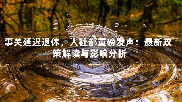 事关延迟退休，人社部重磅发声：最新政策解读与影响分析