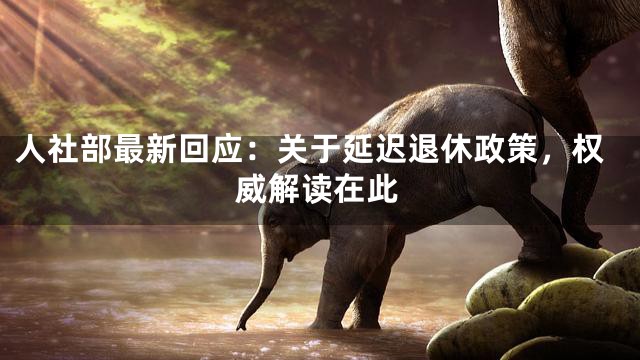 人社部最新回应：关于延迟退休政策，权威解读在此
