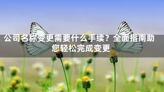 公司名称变更需要什么手续？全面指南助您轻松完成变更