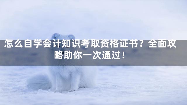 怎么自学会计知识考取资格证书？全面攻略助你一次通过！