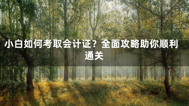 小白如何考取会计证？全面攻略助你顺利通关