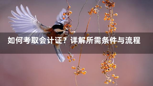 如何考取会计证？详解所需条件与流程