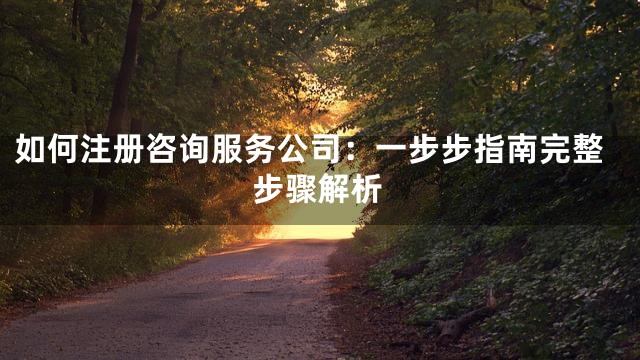 如何注册咨询服务公司：一步步指南完整步骤解析