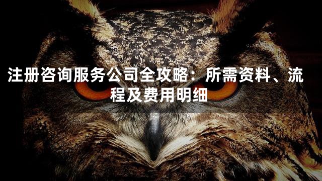 注册咨询服务公司全攻略：所需资料、流程及费用明细