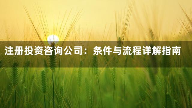 注册投资咨询公司：条件与流程详解指南