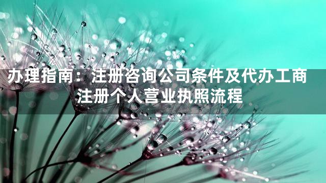 办理指南：注册咨询公司条件及代办工商注册个人营业执照流程