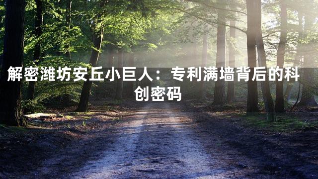 解密潍坊安丘小巨人：专利满墙背后的科创密码