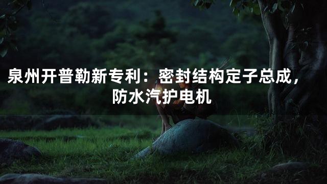 泉州开普勒新专利：密封结构定子总成，防水汽护电机