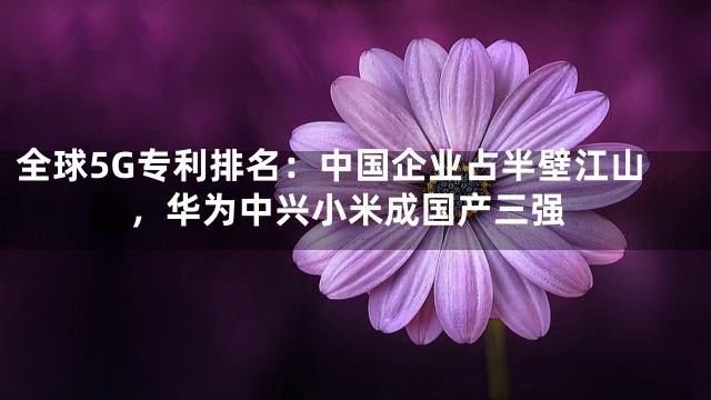 全球5G专利排名：中国企业占半壁江山，华为中兴小米成国产三强