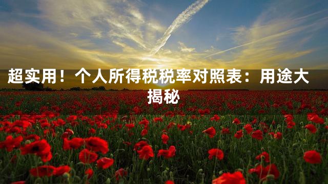 超实用！个人所得税税率对照表：用途大揭秘