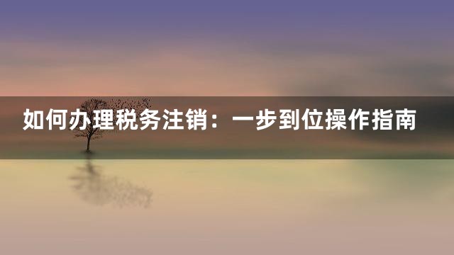 如何办理税务注销：一步到位操作指南