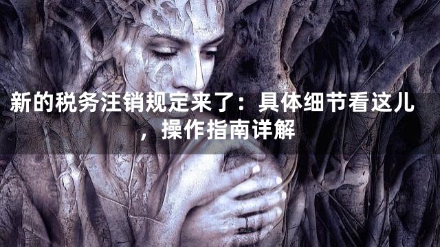 新的税务注销规定来了：具体细节看这儿，操作指南详解
