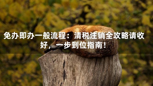 免办即办一般流程：清税注销全攻略请收好，一步到位指南！