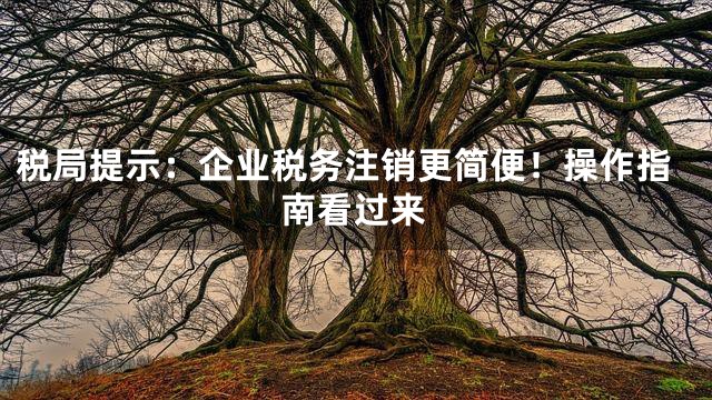 税局提示：企业税务注销更简便！操作指南看过来