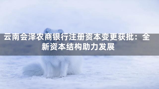 云南会泽农商银行注册资本变更获批：全新资本结构助力发展