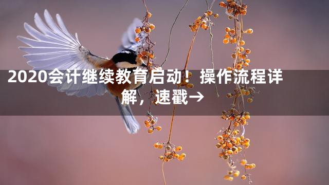 2020会计继续教育启动！操作流程详解，速戳→