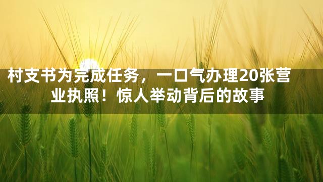 村支书为完成任务，一口气办理20张营业执照！惊人举动背后的故事
