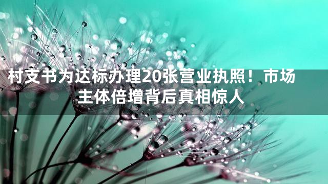 村支书为达标办理20张营业执照！市场主体倍增背后真相惊人