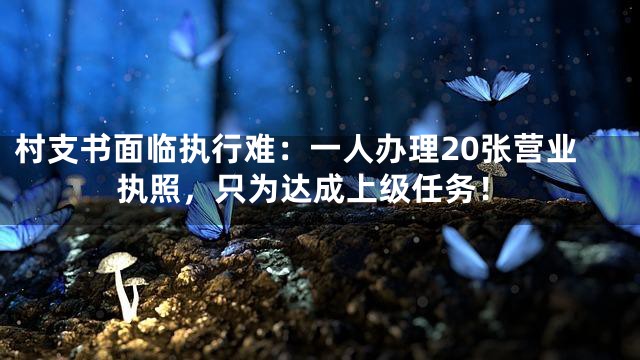 村支书面临执行难：一人办理20张营业执照，只为达成上级任务！
