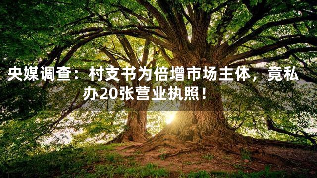 央媒调查：村支书为倍增市场主体，竟私办20张营业执照！