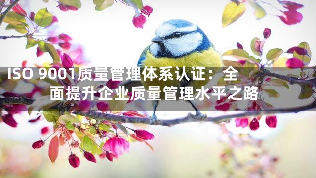 ISO 9001质量管理体系认证：全面提升企业质量管理水平之路