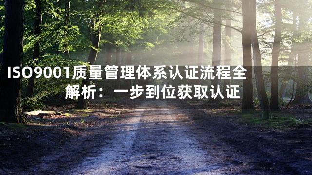 ISO9001质量管理体系认证流程全解析：一步到位获取认证