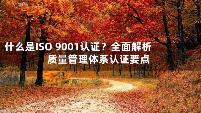 什么是ISO 9001认证？全面解析质量管理体系认证要点