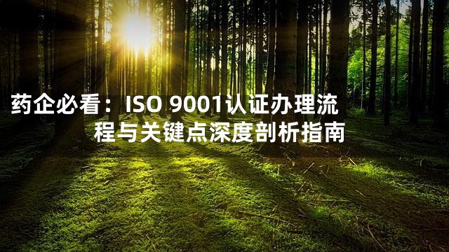 药企必看：ISO 9001认证办理流程与关键点深度剖析指南