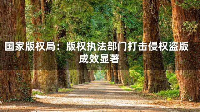 国家版权局：版权执法部门打击侵权盗版成效显著