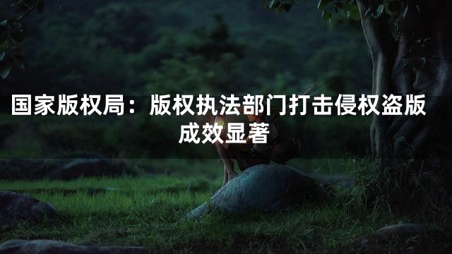 国家版权局：版权执法部门打击侵权盗版成效显著