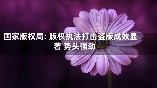 国家版权局: 版权执法打击盗版成效显著 势头强劲