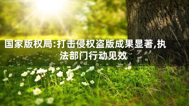 国家版权局:打击侵权盗版成果显著,执法部门行动见效
