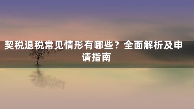 契税退税常见情形有哪些？全面解析及申请指南