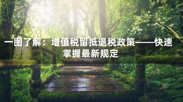 一图了解：增值税留抵退税政策——快速掌握最新规定