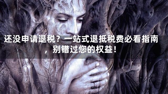 还没申请退税？一站式退抵税费必看指南，别错过您的权益！