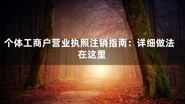 个体工商户营业执照注销指南：详细做法在这里