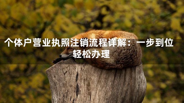 个体户营业执照注销流程详解：一步到位轻松办理